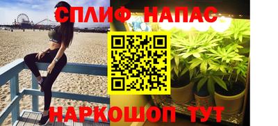 стаф Ливны