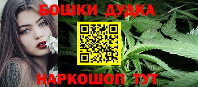 apvp Лесосибирск