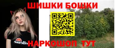 apvp Лесосибирск