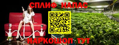 стаф Ливны
