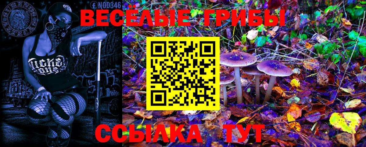Галлюциногенные грибы MAGIC MUSHROOMS  Вход с VPN  Галлюциногенные грибы мухоморы  Тихвин 